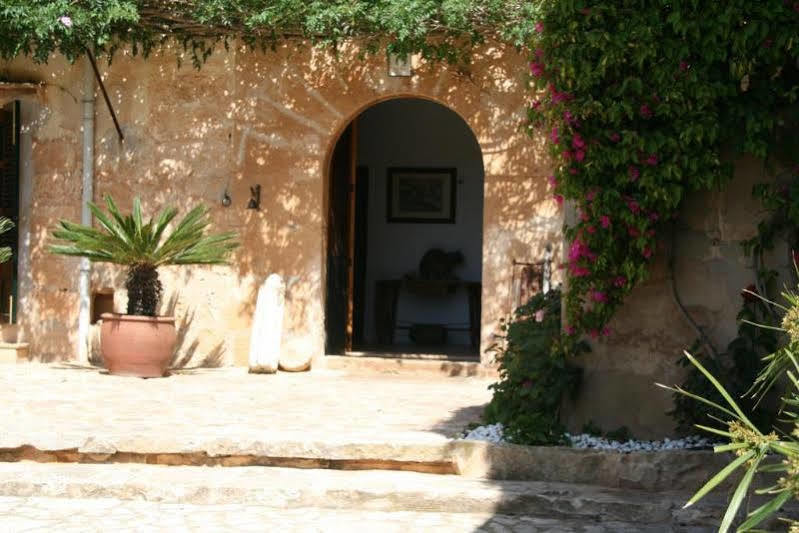 Son Perdiu (adults Only) Palma